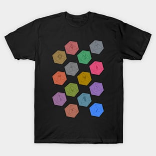 d&d class dice T-Shirt